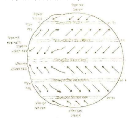 প্রাথমিক বায়ুপ্রবাহ বুলিলে কি বুজায় প্রাথমিক বায়ুপ্রবাহ বুলিলে কি বুজায়